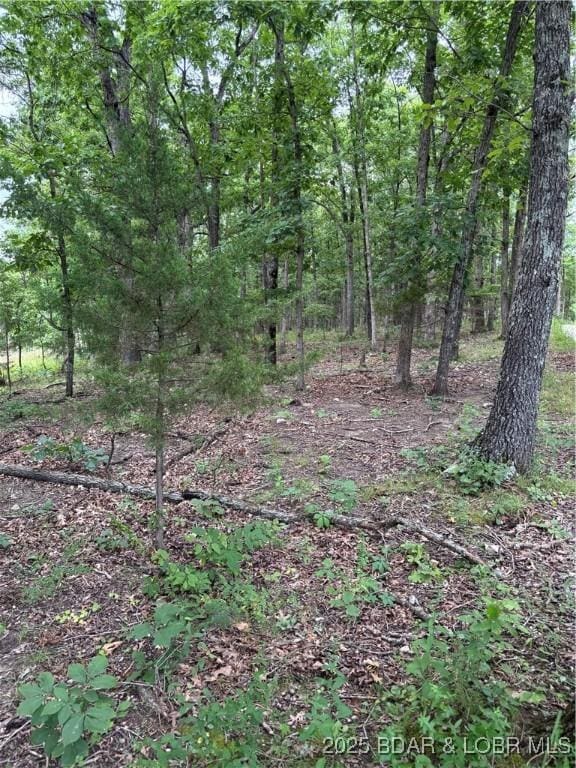 Beechnut Rd, Stover, MO 65078 - photo 4