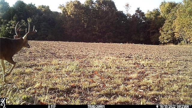 Beechnut Rd, Stover, MO 65078 - photo 5