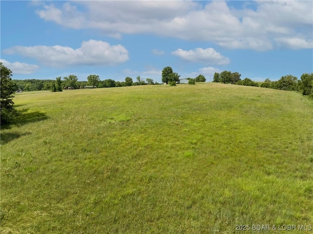4031 Dority Dr, Climax Springs, MO 65324 - photo 30