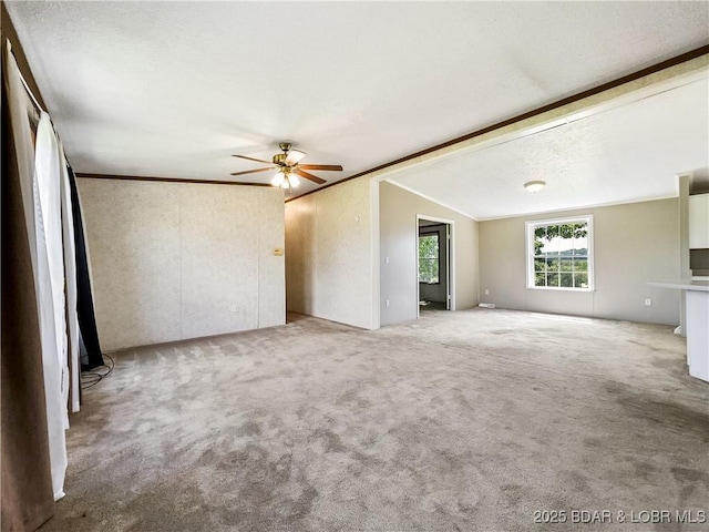 4031 Dority Dr, Climax Springs, MO 65324 - photo 4