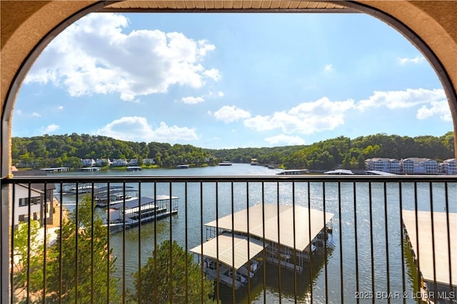 918 Tuscany Dr Unit 4C, Camdenton, MO 65020 - photo 8