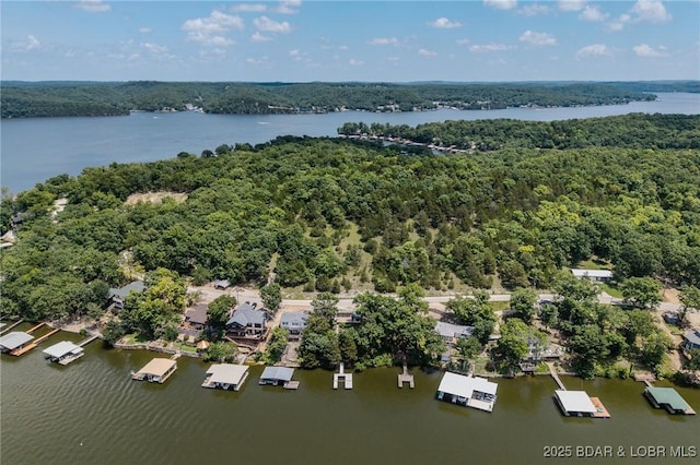 TBD Robin Hood Lane, Roach, MO 65787 - photo 29