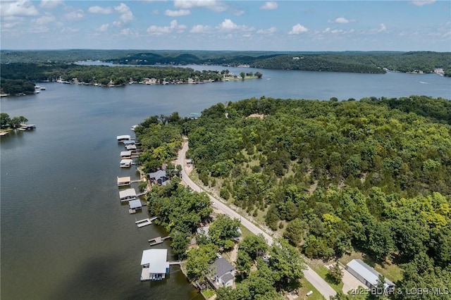 TBD Robin Hood Lane, Roach, MO 65787 - photo 31