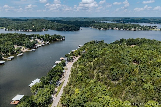 TBD Robin Hood Lane, Roach, MO 65787 - photo 32