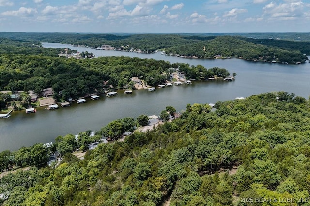 TBD Robin Hood Lane, Roach, MO 65787 - photo 33