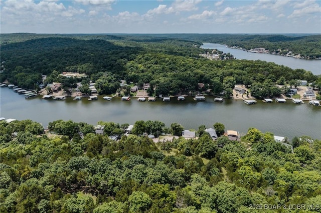 TBD Robin Hood Lane, Roach, MO 65787 - photo 34