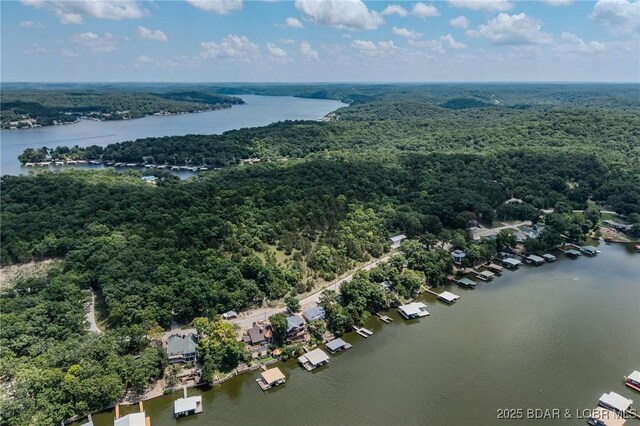 TBD Robin Hood Lane, Roach, MO 65787 - photo 36