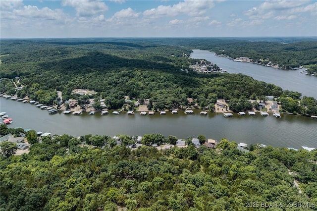 TBD Robin Hood Lane, Roach, MO 65787 - photo 43