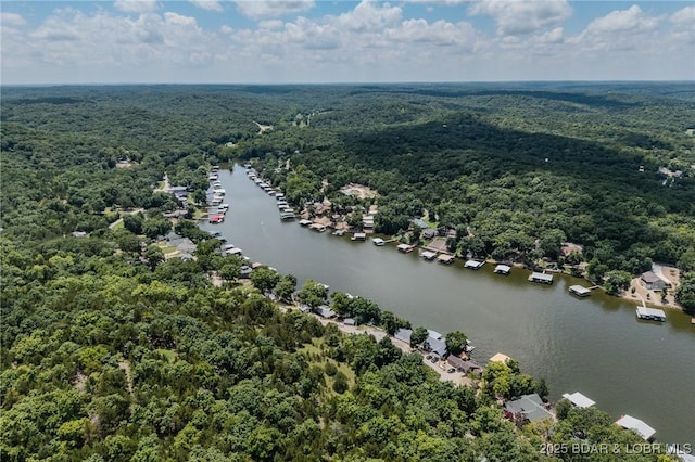 TBD Robin Hood Lane, Roach, MO 65787 - photo 44