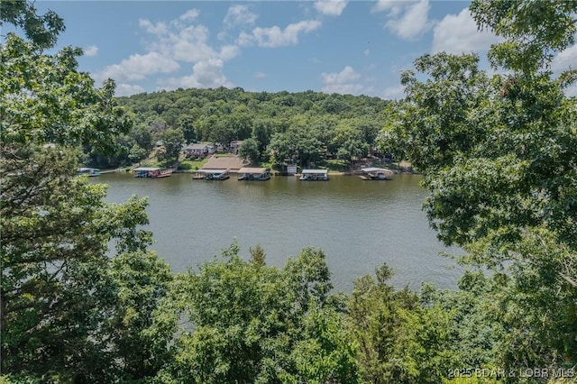 TBD Robin Hood Lane, Roach, MO 65787 - photo 16