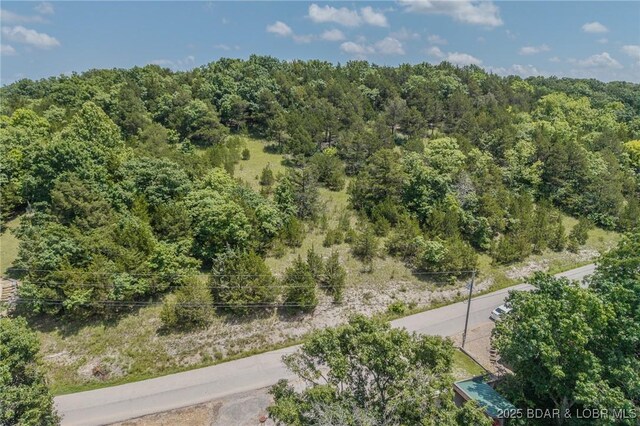 TBD Robin Hood Lane, Roach, MO 65787 - photo 21
