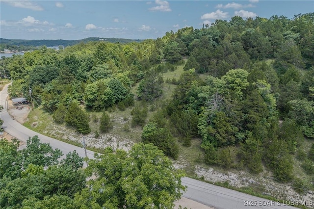 TBD Robin Hood Lane, Roach, MO 65787 - photo 22