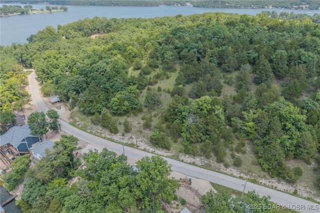 TBD Robin Hood Lane, Roach, MO 65787 - photo 23