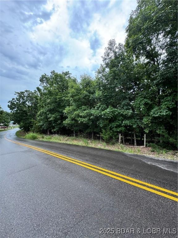 TBD Wavy Leaf Dr, Linn Creek, MO 65052 - photo 1