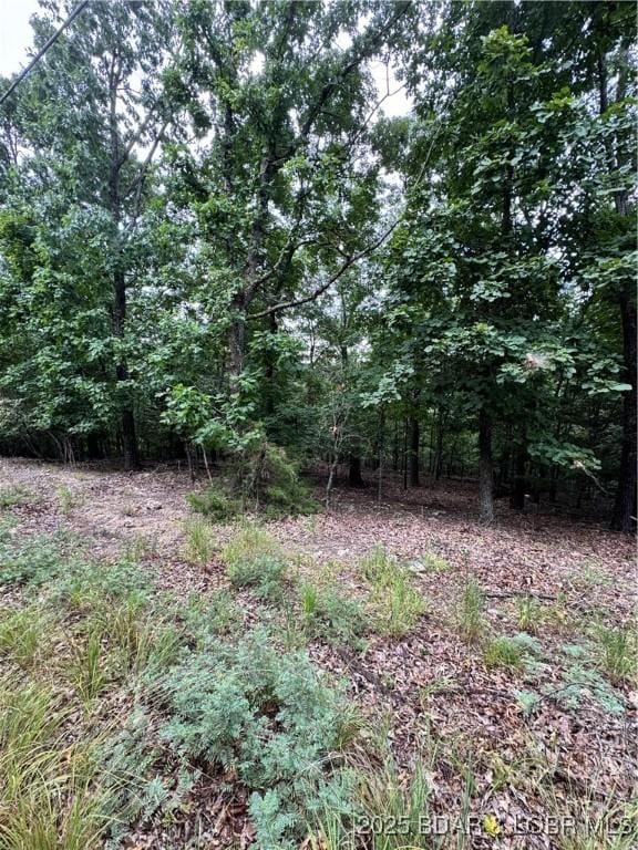 TBD Wavy Leaf Dr, Linn Creek, MO 65052 - photo 3