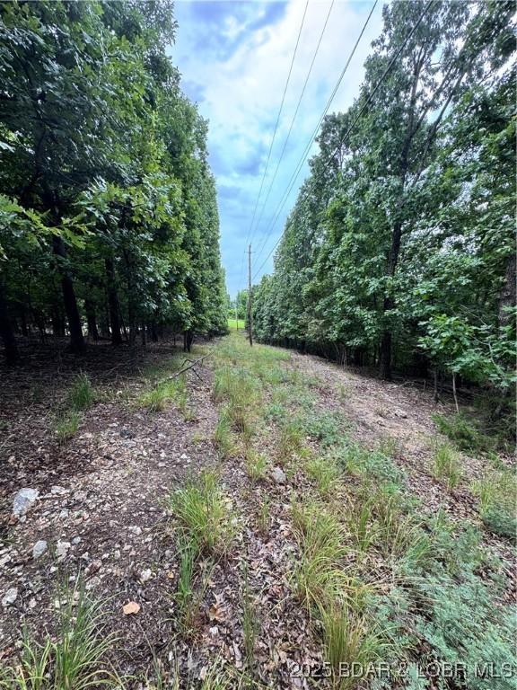 TBD Wavy Leaf Dr, Linn Creek, MO 65052 - photo 4