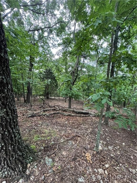 TBD Wavy Leaf Dr, Linn Creek, MO 65052 - photo 5