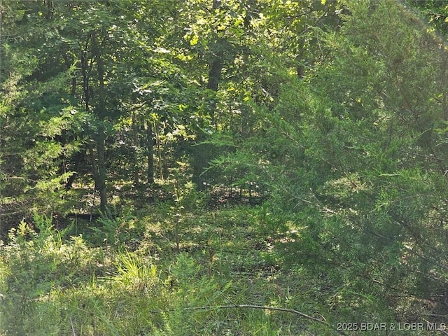 31542 N Cove Ln, Stover, MO 65078 - photo 5