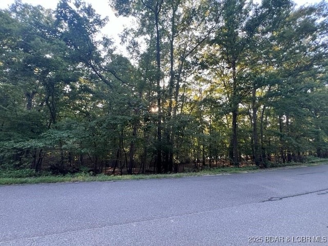 LOT410 Grand View Dr, Porto Cima, MO 65079 - photo 11