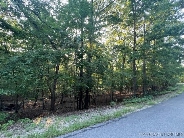 LOT410 Grand View Dr, Porto Cima, MO 65079 - photo 12