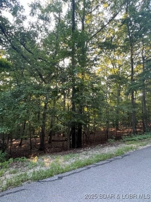 LOT410 Grand View Dr, Porto Cima, MO 65079 - photo 13