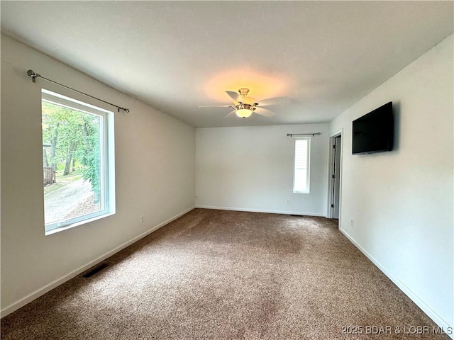 1366 Alcorn Hollow Rd, Roach, MO 65787 - photo 23