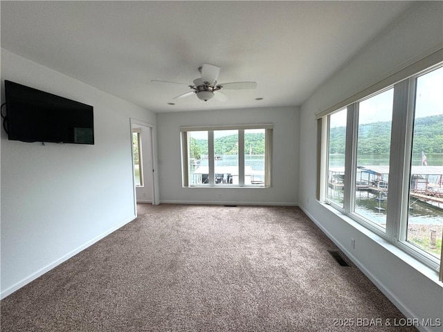 1366 Alcorn Hollow Rd, Roach, MO 65787 - photo 24