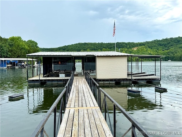 1366 Alcorn Hollow Rd, Roach, MO 65787 - photo 46