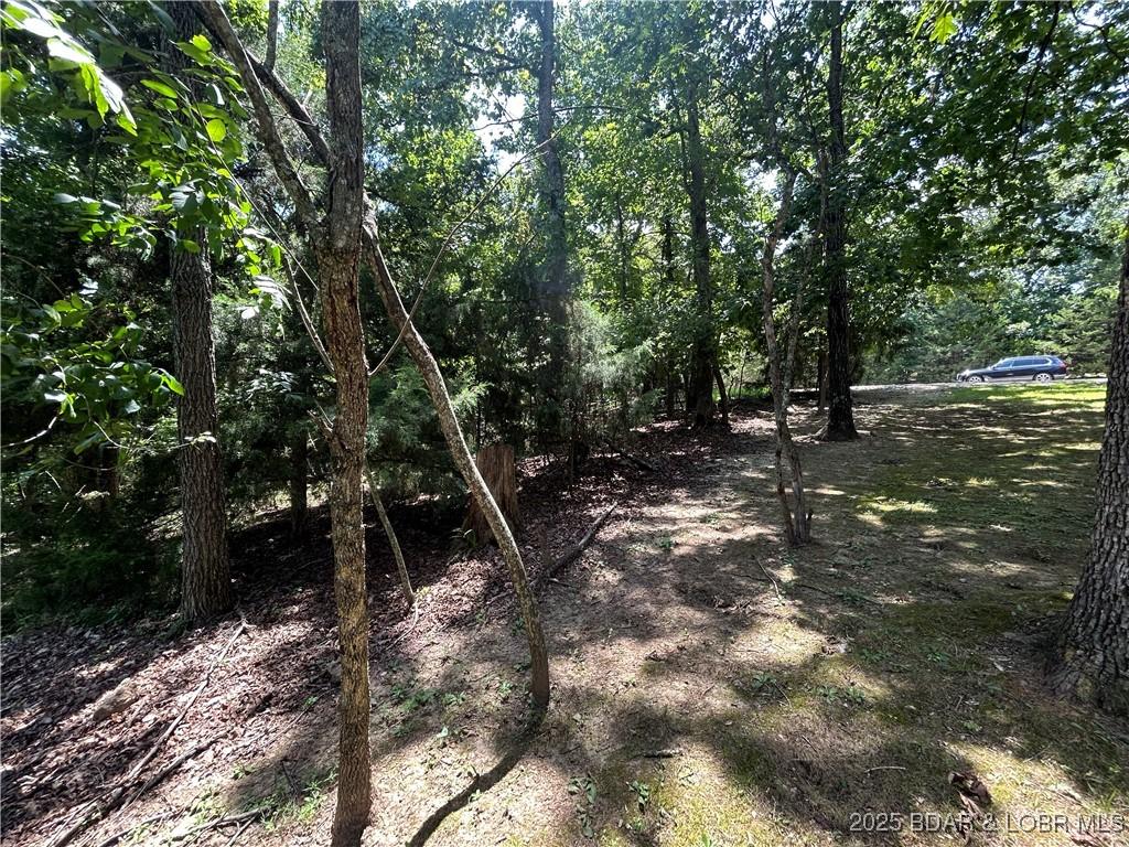 LOT29 Cornett Dr, Lake Ozark, MO 65049 - photo 1