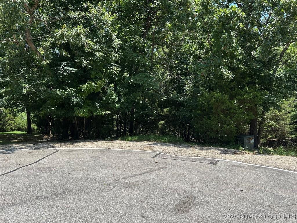 LOT29 Cornett Dr, Lake Ozark, MO 65049 - photo 3