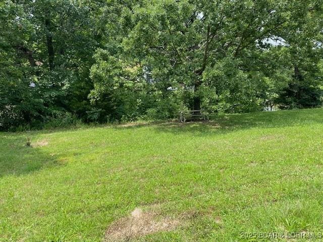 1778 Robin Hood Ln, Roach, MO 65787 - photo 3