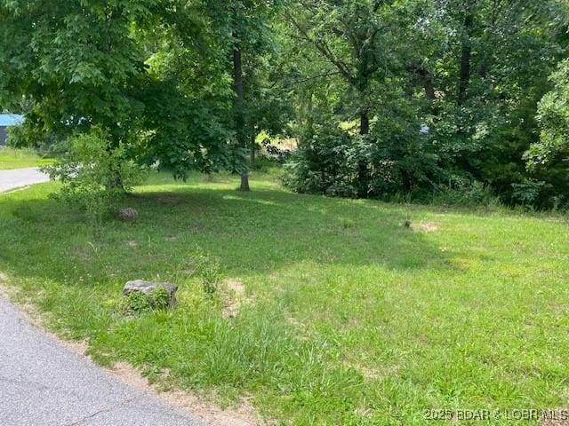 1778 Robin Hood Ln, Roach, MO 65787 - photo 9