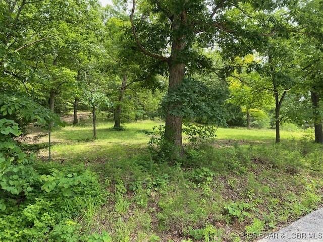 1778 Robin Hood Ln, Roach, MO 65787 - photo 5