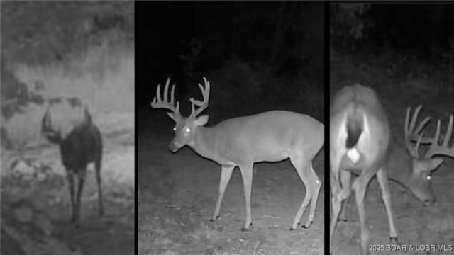 Oak Hill Forest Dr, Eldon, MO 65026 - photo 5