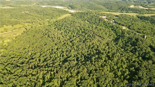 Oak Hill Forest Dr, Eldon, MO 65026 - photo 10
