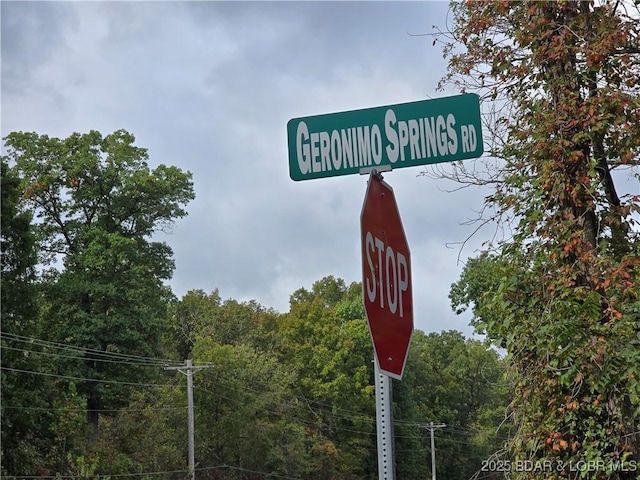 TBDTRACT3AND4 Geronimo Springs Rd, Macks Creek, MO 65786 - photo 6