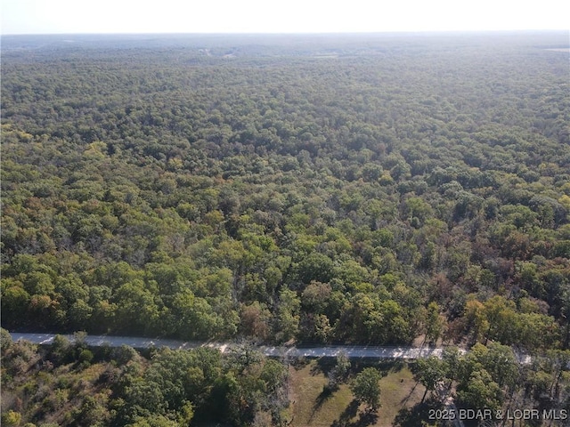 TBDTRACT3AND4 Geronimo Springs Rd, Macks Creek, MO 65786 - photo 7