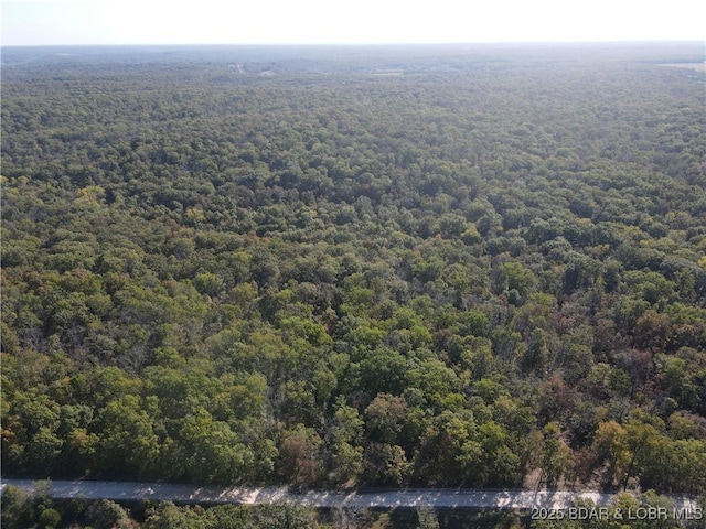 TBDTRACT3AND4 Geronimo Springs Rd, Macks Creek, MO 65786 - photo 8