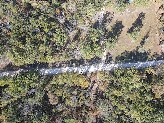 TBDTRACT3AND4 Geronimo Springs Rd, Macks Creek, MO 65786 - photo 10