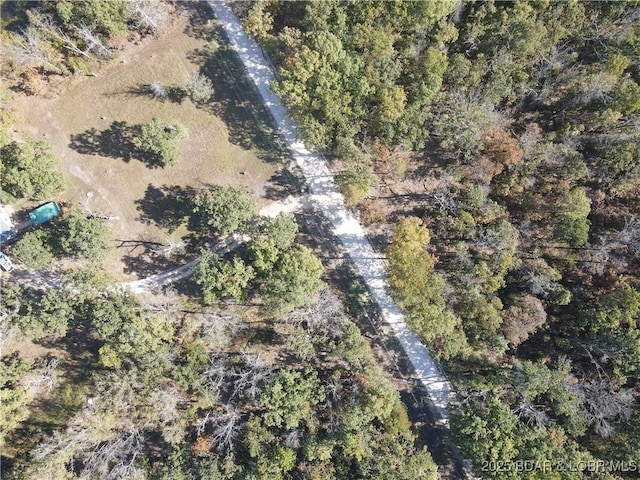 TBDTRACT3AND4 Geronimo Springs Rd, Macks Creek, MO 65786 - photo 11