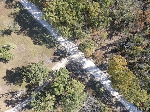 TBDTRACT3AND4 Geronimo Springs Rd, Macks Creek, MO 65786 - photo 12