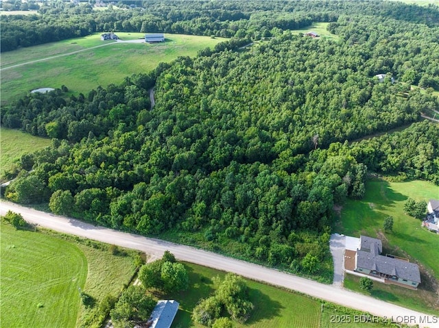 LOT4 Moreland Rd, Camdenton, MO 65020 - photo 3