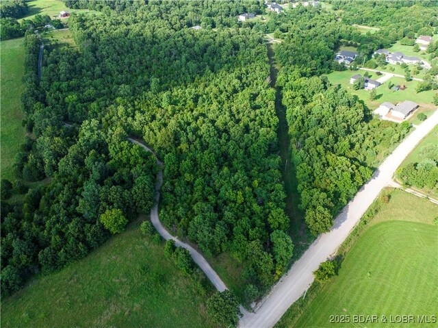 LOT4 Moreland Rd, Camdenton, MO 65020 - photo 4
