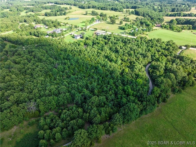 LOT4 Moreland Rd, Camdenton, MO 65020 - photo 6