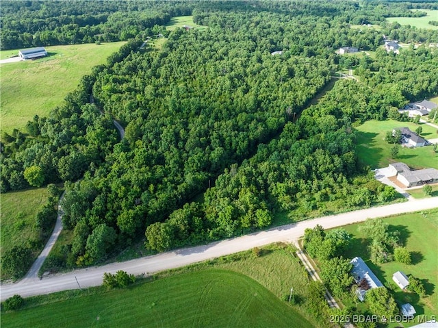 LOT6 Great Oaks Dr, Camdenton, MO 65020 - photo 3