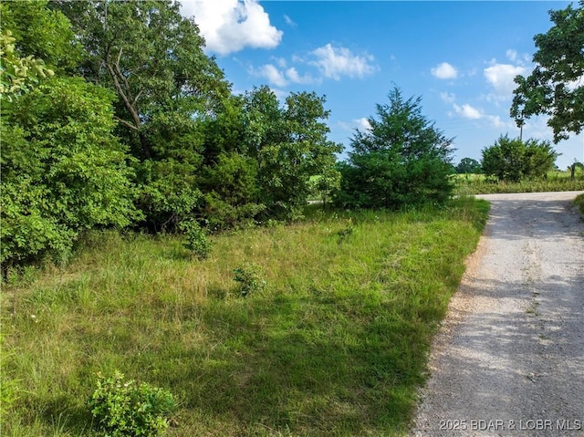 LOT6 Great Oaks Dr, Camdenton, MO 65020 - photo 5