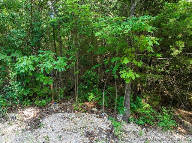 LOT6 Great Oaks Dr, Camdenton, MO 65020 - photo 10