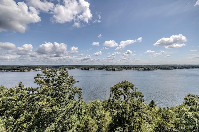 820 Cedar Crest Dr, Lake Ozark, MO 65049 - photo 25