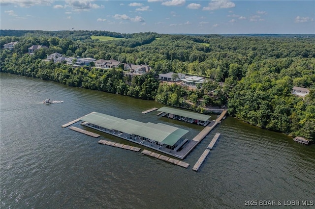 820 Cedar Crest Dr, Lake Ozark, MO 65049 - photo 49
