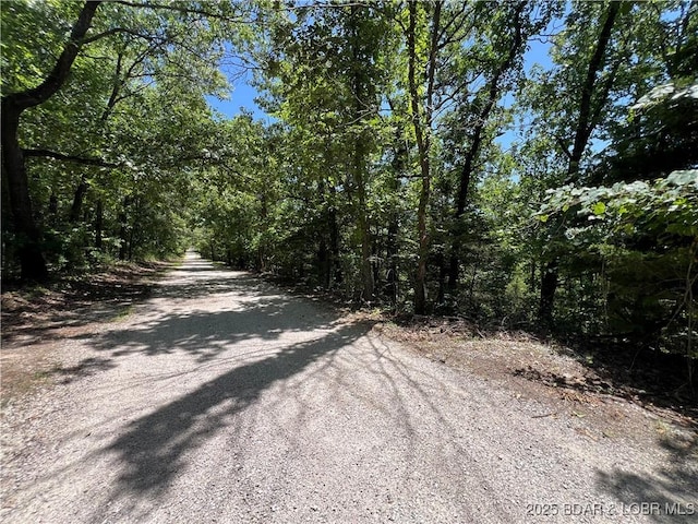 TBD Paradise Ln, Osage Beach, MO 65065 - photo 1